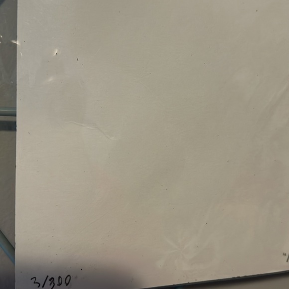 Black & White Lithograph 11x17 Mountain Lion 3/300 - Picture 10 of 11